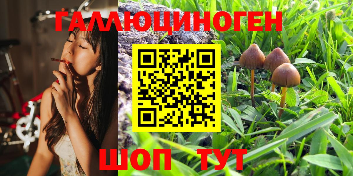 Псилоцибиновые грибы MAGIC MUSHROOMS  Вход с VPN  Новоалександровск 