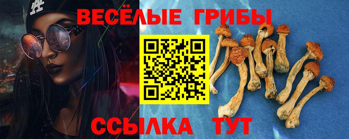 Галлюциногенные грибы мицелий Новоалександровск